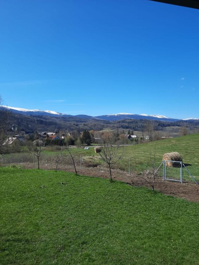 Arnikowa Widokowka Villa Sosnówka Dış mekan fotoğraf